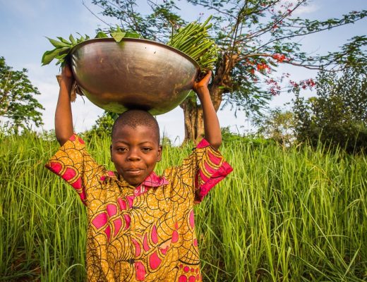 Gardening, Nord Ubangi, DRC