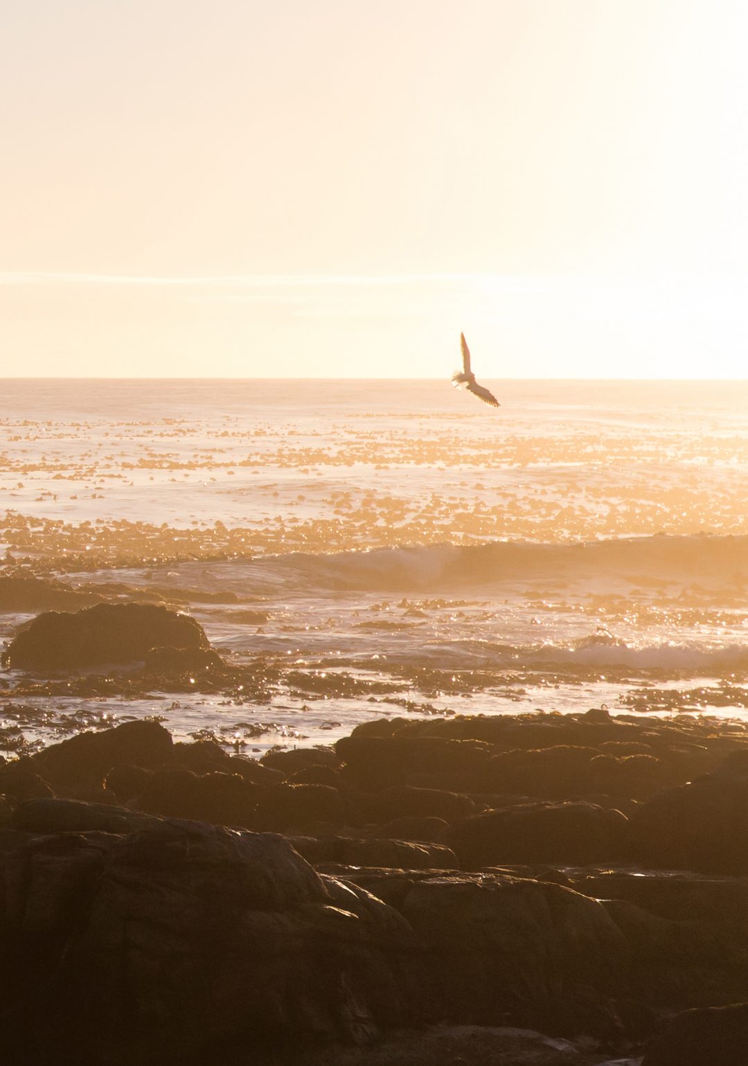 Cape of Good Hope, South Africa