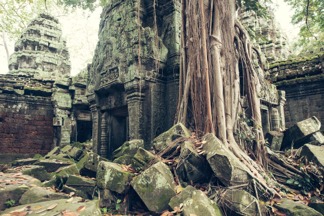 Ta Prohm, Siam Reap, Cambodia