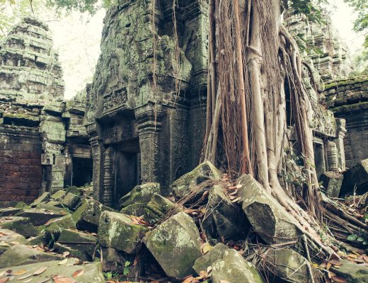 Ta Prohm, Siam Reap, Cambodia