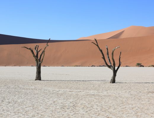 Dead Vlei, Namibia