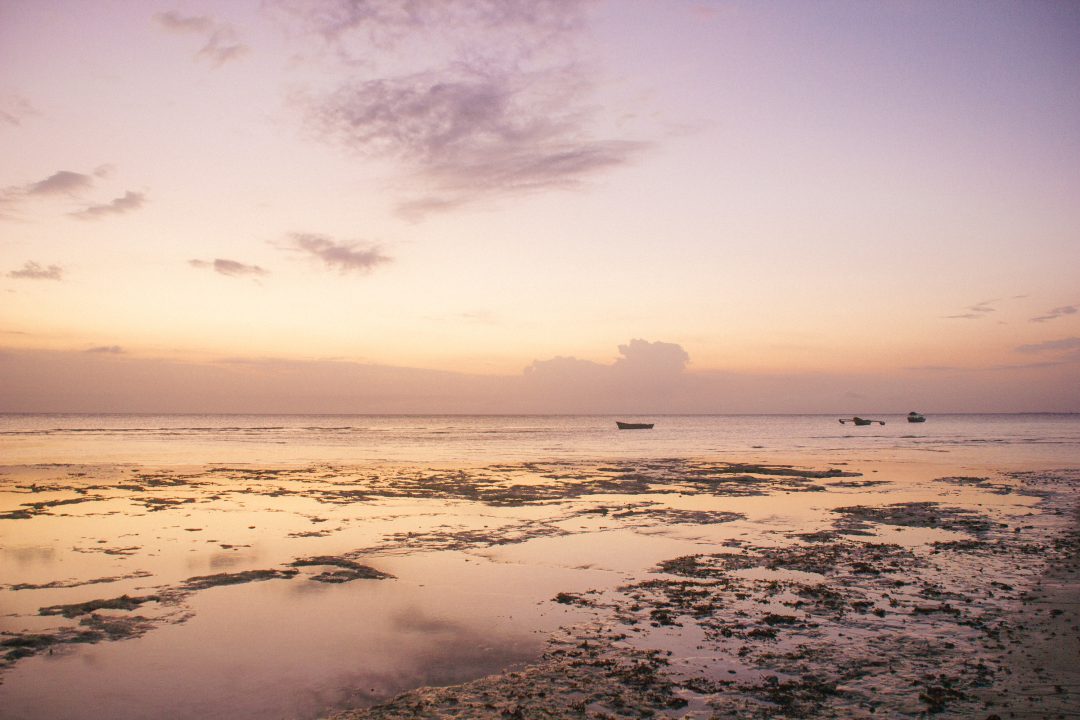 Chumbe Island, Zanzibar, Tanzania