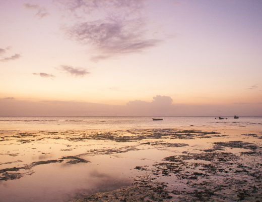 Chumbe Island, Zanzibar, Tanzania