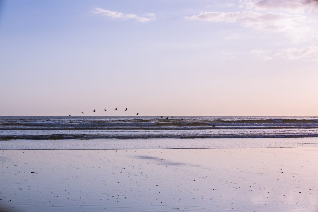 Playa Guiones, Nosara, Costa Rica