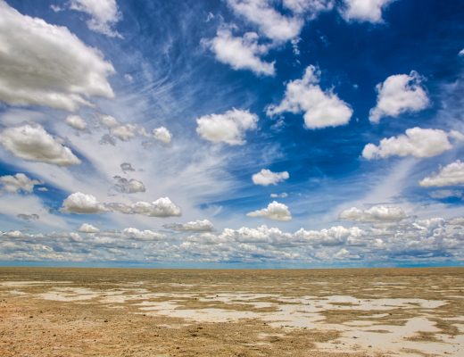 Etosha Pan, Etosha National Park, Namibia