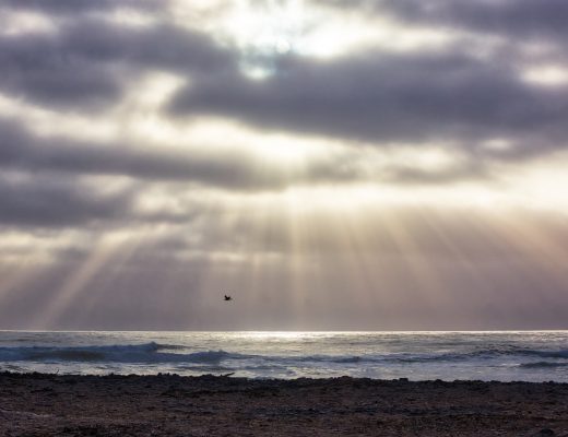 Terrace Bay, Skeleton Coast, Namibia