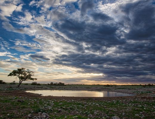 Crystal Stafford, Halali Camp, Etosha National Park, Nambia