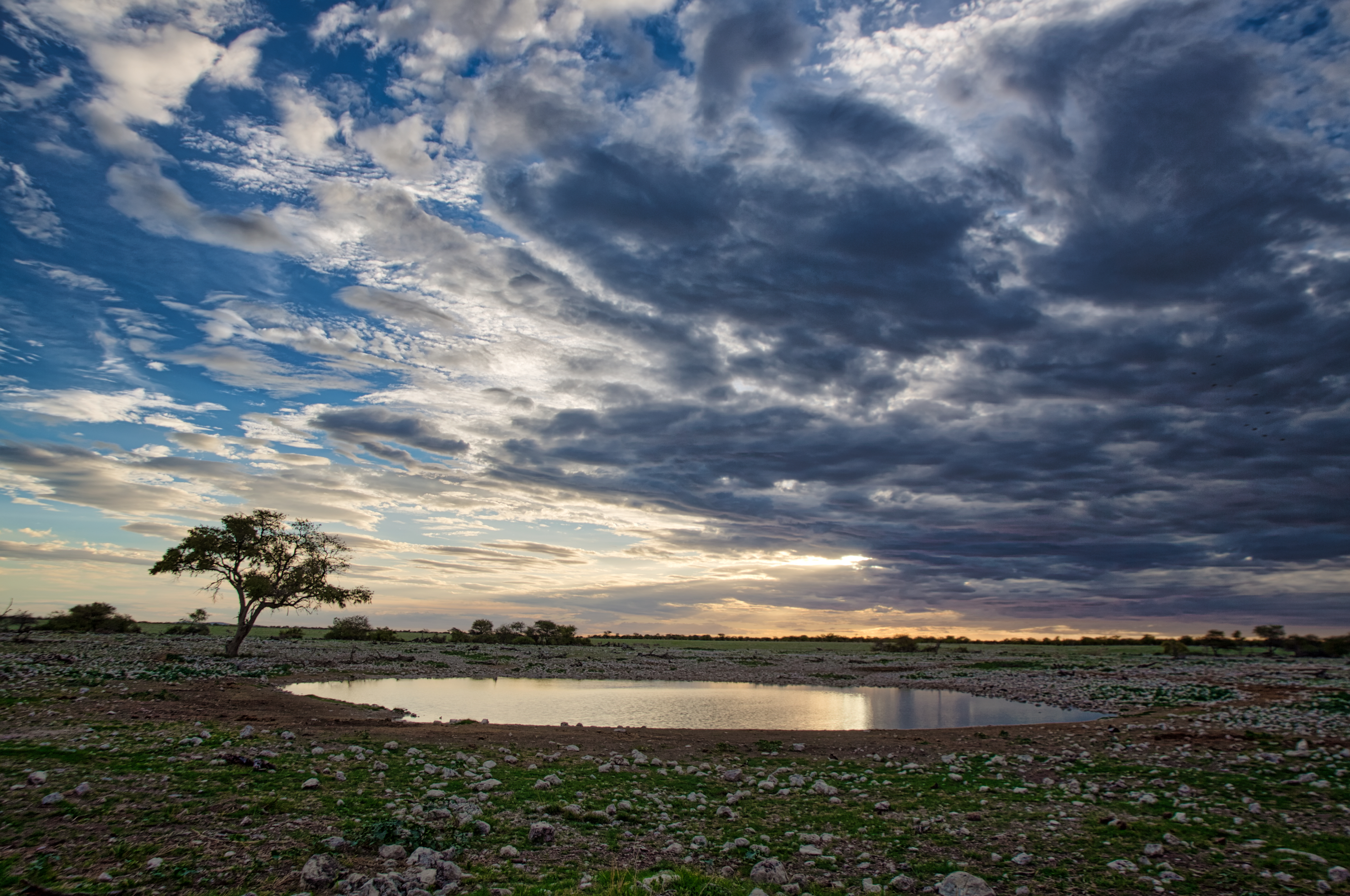 Crystal Stafford, Halali Camp, Etosha National Park, Nambia