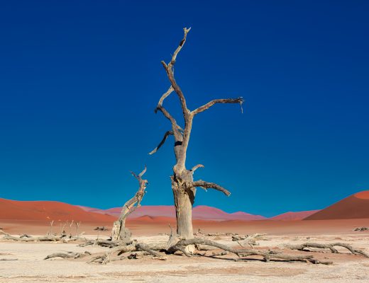 Deadvlei