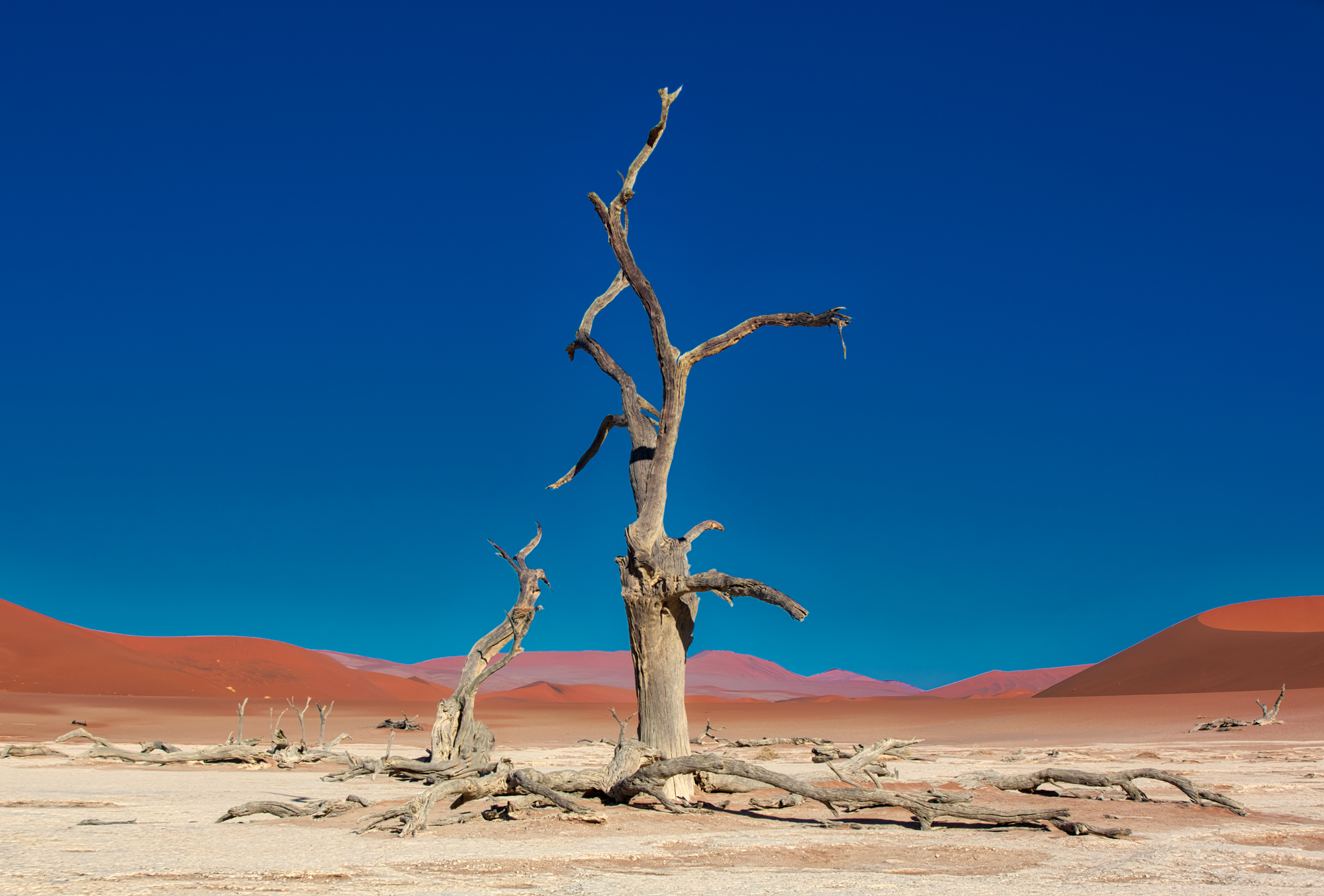 Deadvlei