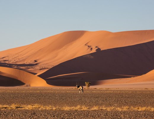 Crystal Stafford, Namibia, Namib Desert, oryx