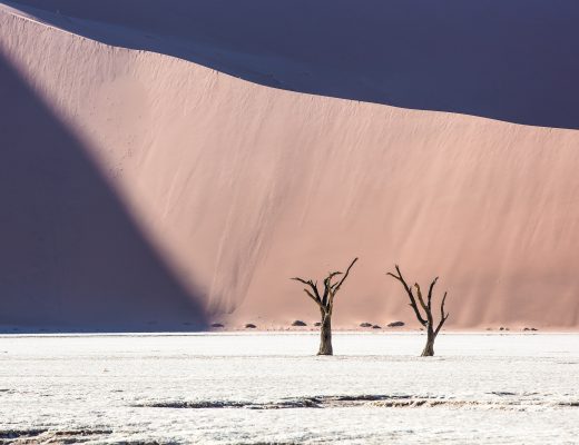 Crystal Stafford, Deadvlei, Namibia