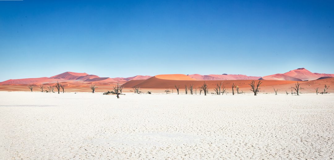 Crystal Stafford, Deadvlei, Namibia