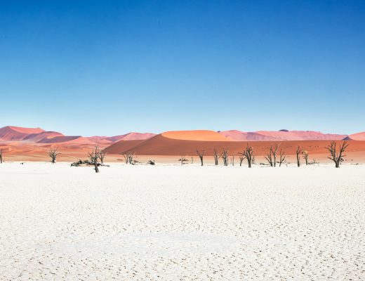 Crystal Stafford, Deadvlei, Namibia