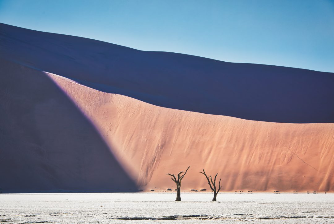 Crystal Stafford, Namibia, Deadvlei