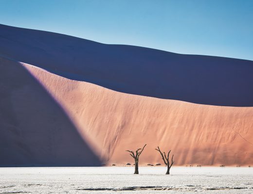 Crystal Stafford, Namibia, Deadvlei