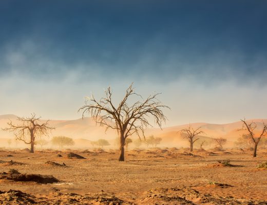 Crystal Stafford, Sossusvlei, Namibia