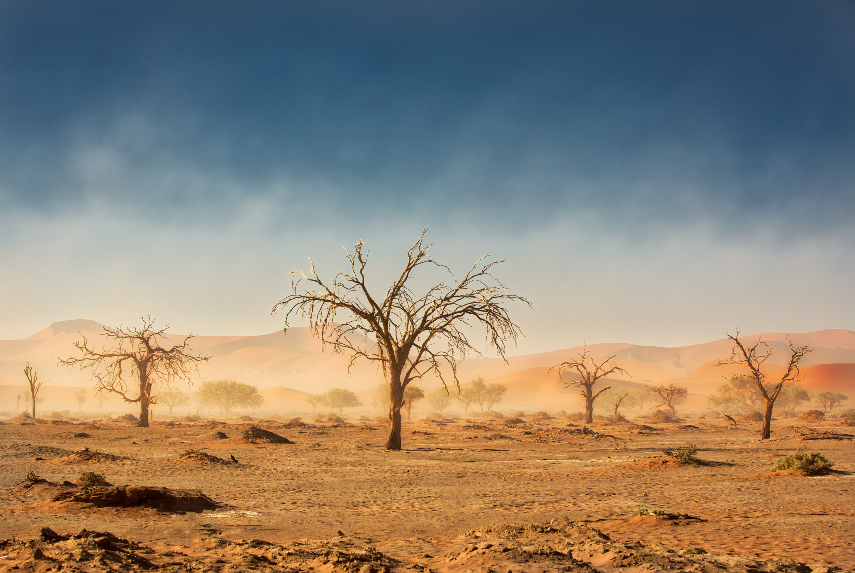 Crystal Stafford, Sossusvlei, Namibia