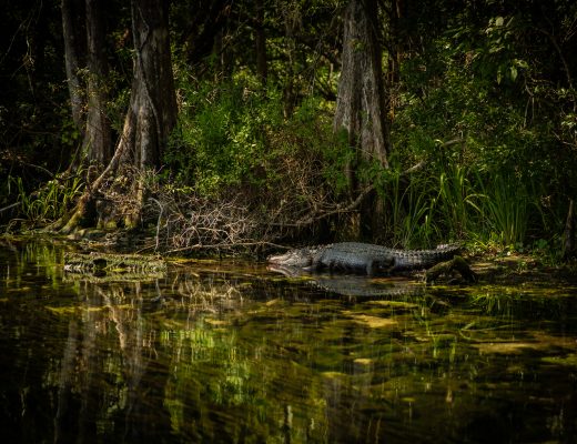 Crystal Stafford, Wakullah Springs, Florida