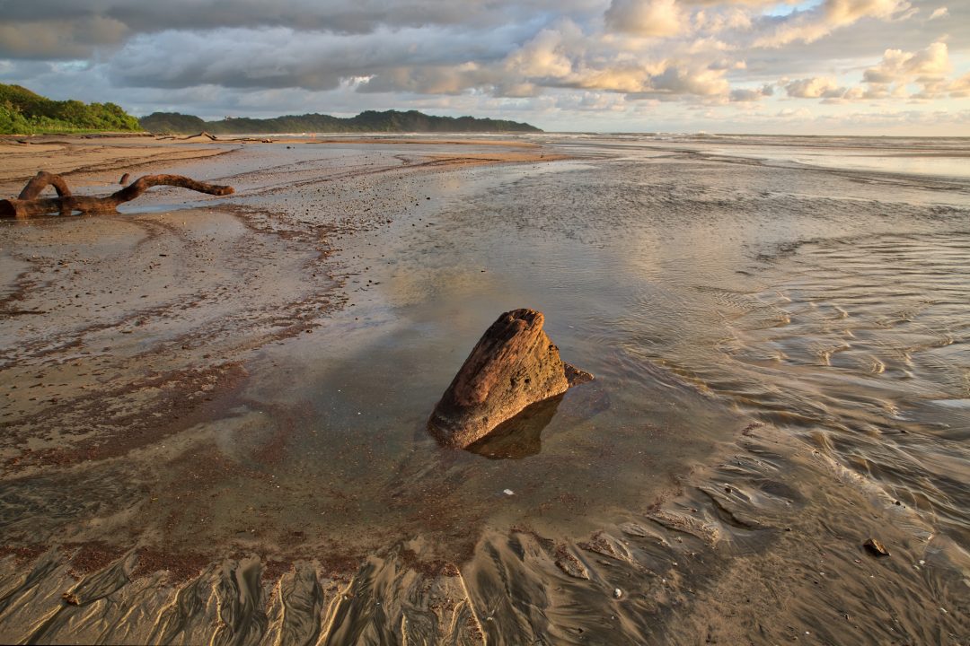 Baker's Beach, Playa Guiones, Nosara, Costa RicaCrystal Stafford,