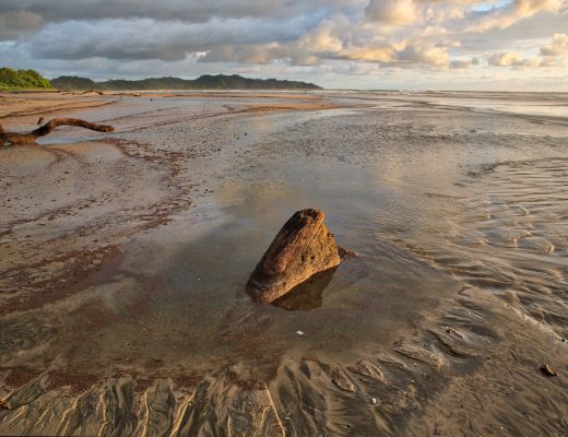 Baker's Beach, Playa Guiones, Nosara, Costa RicaCrystal Stafford,