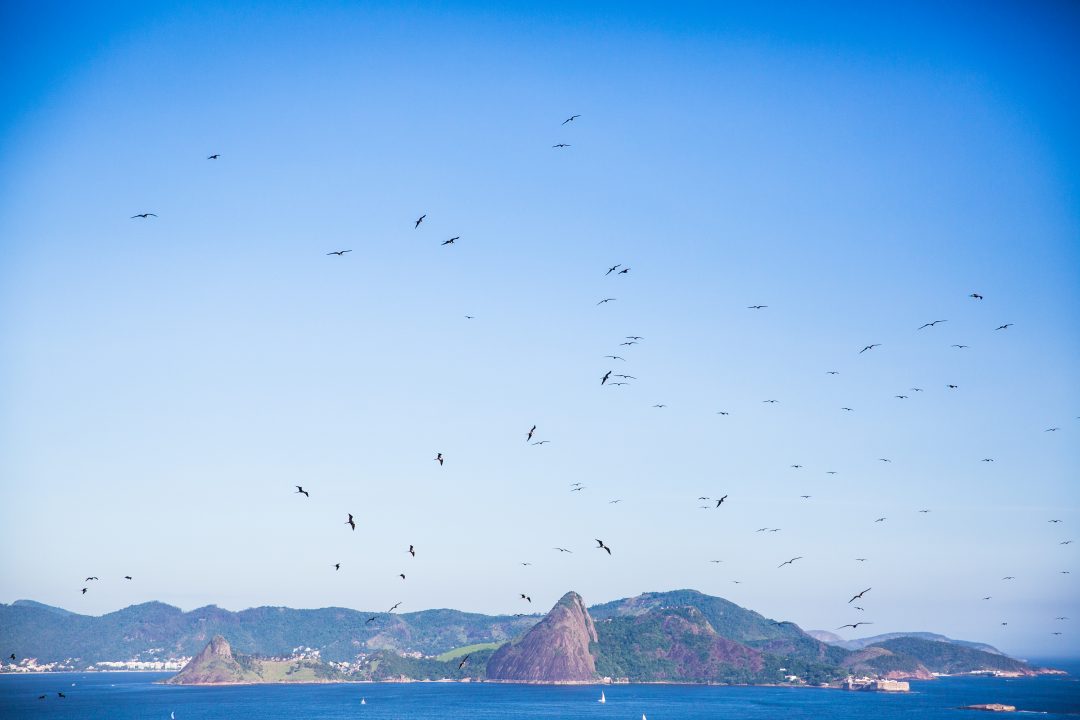 Crystal Stafford, Rio de Janeiro