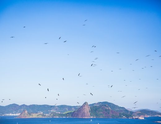 Crystal Stafford, Rio de Janeiro