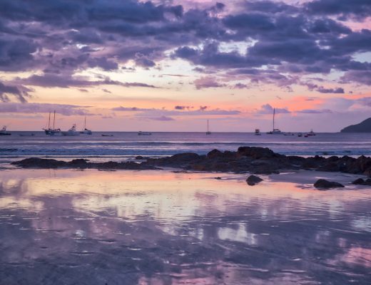 Crystal Stafford, Tamarindo