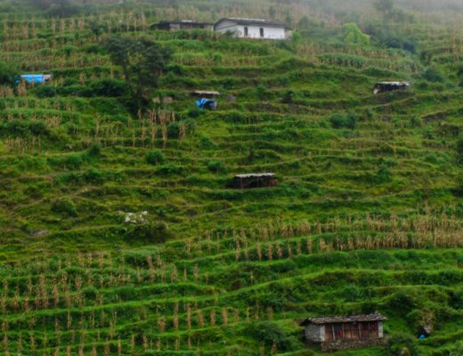 Crystal Stafford, Mountain Terraces in Nepal