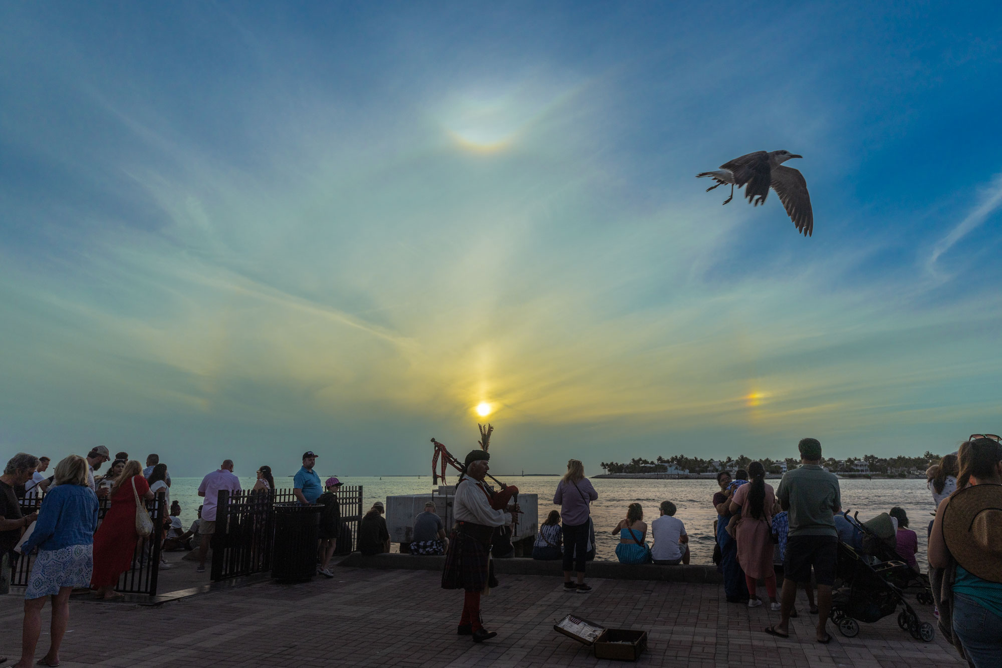 sunset celebration in key west
